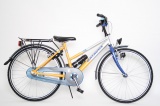 BATAVUS FOX 24 38CM MEISJES RN ZILVER GEEL