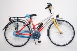 BATAVUS FOX 24 38CM MEISJES RN ZILVER ROOD GEEL