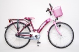 BIKE FUN PAPILLON 24 38CM MEISJES RN ROZE PAARS