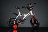 DINO 123 GLN WIT