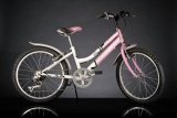 DINO 420 D 20 MEISJES V6 WIT PINK