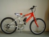 DINO 420 U WIT ROOD
