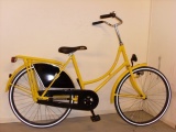 FT  DELTA 24 45CM OMAFIETS RN GEEL 