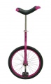 FUN EENWIELER 20 INCH ROZE