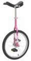KETTLER EENWIELER PINK FLOWER 20 INCH