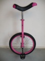 LEGEND EENWIELER 20 ROSE