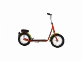 LOEKIE LADYBUG 12 STEP ROOD GROEN
