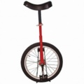 ODICE EENWIELER 20 ROOD