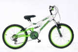 RAPTOR CONCEPT 20 JONGENS ATB V6 WIT GROEN