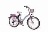 REDY ESPRIT 24 MEISJES V6 ZILVER ROZE