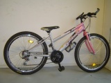 SPRINT CALIPSO 24 MEISJES V18 ZILVER ROZE